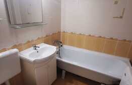 Garsoniera decomandata, 34 de mp, pet friendly, zona UMF