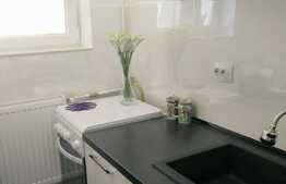 Apartament 1 camera, 30 mp, zona strazii Bucegi