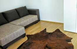 Apartament 1 camera, 30 mp, zona strazii Bucegi