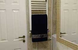 Apartament 1 camera, 30 mp, zona strazii Bucegi