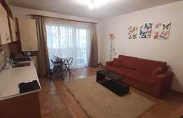 Oportunitate de investitie, balcon inchis, orientare sudica, zona Eroilor