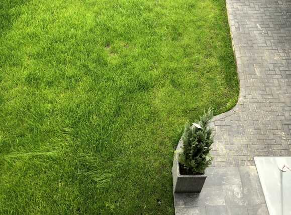 Casa de vânzare 3 camere Iris - 57773CV | BLITZ Cluj-Napoca | Poza15