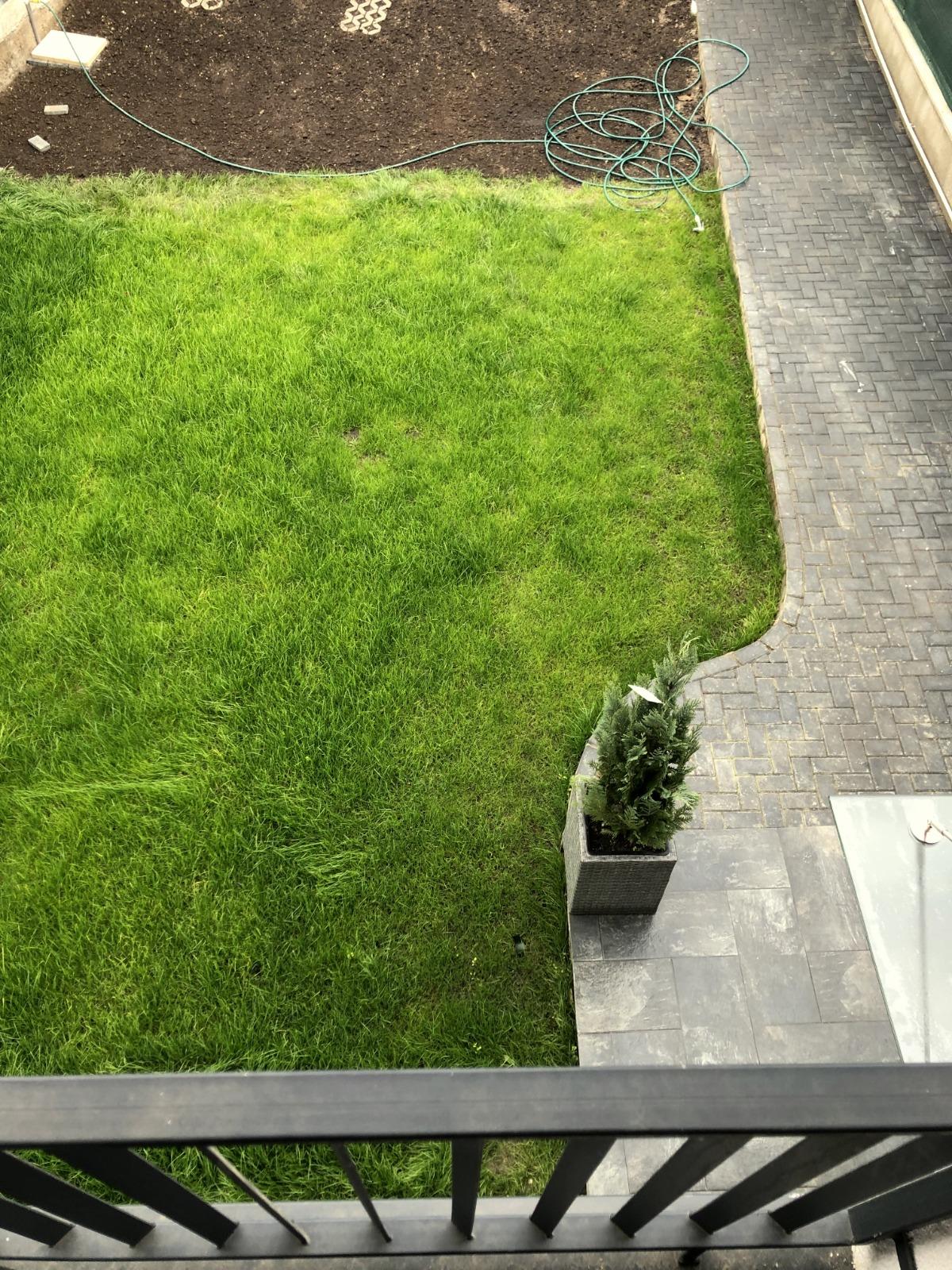 Casa de vânzare 3 camere Iris - 57773CV | BLITZ Cluj-Napoca | Poza15