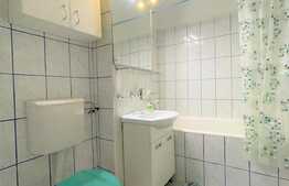 3 camere, decomandat, 66mp, pet friendly, zona Piata Marasti