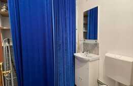 3 camere, decomandat, 66mp, pet friendly, zona Piata Marasti