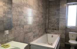 Apartament 2 camere, zona strazii Traian Vuia