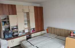 Garsonieră, 38 mp, dispune și de un pod izolat