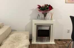 Apartament de inchiriat cu doua camere in Buna Ziua, 56mp+ 33mp terasa, garaj, zona strazii Marin Sorescu