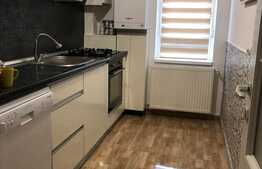 Apartament de inchiriat cu doua camere in Buna Ziua, 56mp+ 33mp terasa, garaj, zona strazii Marin Sorescu