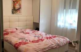 Apartament de inchiriat cu doua camere in Buna Ziua, 56mp+ 33mp terasa, garaj, zona strazii Marin Sorescu