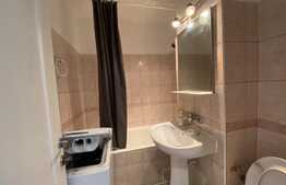 Apartament 1 camera, 30 mp, posibilitate parcare, zona P-ta Mihai Viteazu