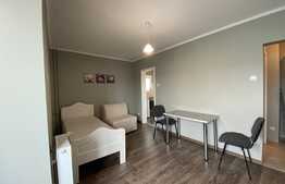 Apartament 1 camera, 30 mp, posibilitate parcare, zona P-ta Mihai Viteazu