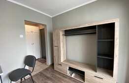 Apartament 1 camera, 30 mp, posibilitate parcare, zona P-ta Mihai Viteazu