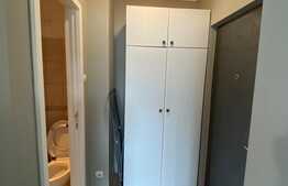 Apartament 1 camera, 30 mp, posibilitate parcare, zona P-ta Mihai Viteazu