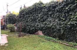 Casa cu 4 camere, 160 mp, terasa, curte 100 mp, zona  Cetățuia