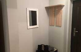 Apartament 1 camera, 35 mp, recent renovat, zona strazii Detunata