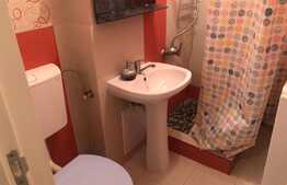 Apartament 1 camera, 35 mp, recent renovat, zona strazii Detunata