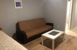 Apartament 1 camera, 35 mp, recent renovat, zona strazii Detunata