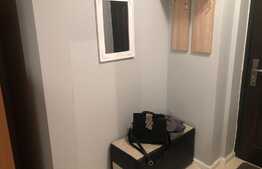 Apartament 1 camera, 35 mp, recent renovat, zona strazii Detunata