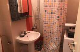 Apartament 1 camera, 35 mp, recent renovat, zona strazii Detunata