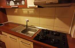 Apartament cu 1 camera, 42 de mp, loc de parcare, zona Kaufland