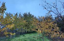  De vanzare casa individuala, 140 mp utili,1000 mp teren,zona linistita,acces facil