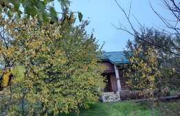  De vanzare casa individuala, 140 mp utili,1000 mp teren,zona linistita,acces facil