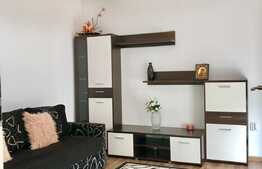 Duplex la prima inchiriere, 5 camere, garaj, terasa, zona Auchan Iris