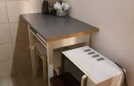 Garsoniera pet friendly, 28 de mp, zona Piata Flora