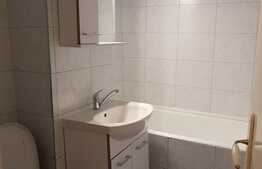 Garsoniera pet friendly, 28 de mp, zona Piata Flora