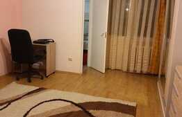 Garsoniera pet friendly, 28 de mp, zona Piata Flora