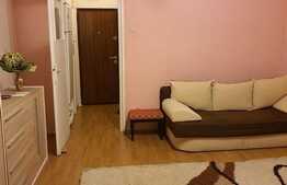 Garsoniera pet friendly, 28 de mp, zona Piata Flora
