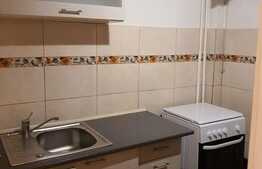 Garsoniera pet friendly, 28 de mp, zona Piata Flora