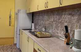 Apartament cu 2 camere, 55 mp, A.C, zona strazii Beiusului