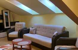 Apartament cu 2 camere, 55 mp, A.C, zona strazii Beiusului