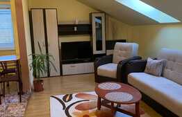 Apartament cu 2 camere, 55 mp, A.C, zona strazii Beiusului