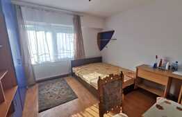Garsoniera pet friendly, 30 de mp, zona strazii Leroy Merlin