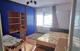 Garsoniera pet friendly, 30 de mp, zona strazii Leroy Merlin