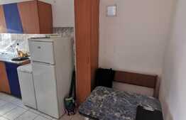 Garsoniera pet friendly, 30 de mp, zona strazii Leroy Merlin