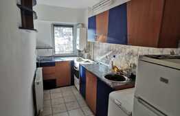 Garsoniera pet friendly, 30 de mp, zona strazii Leroy Merlin