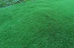 Apartament cu gradina si nisa de dormit, orientare sudica, zona Eroilor