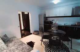 Apartament cu gradina si nisa de dormit, orientare sudica, zona Eroilor