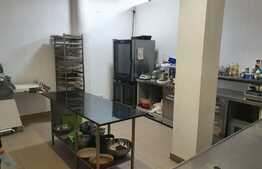 Spatiu productie alimentara/laborator, 75 mp, zona Hasdeu