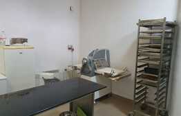 Spatiu productie alimentara/laborator, 75 mp, zona Hasdeu