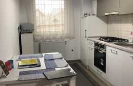 Apartament la prima inchiriere cu 3 camere, 55 mp, loc de parcare, zona Platinia