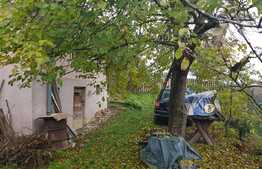 Casa demolabila, zona Oasului, 65 mp utili, 350 mp teren