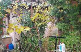 Casa demolabila, zona Oasului, 65 mp utili, 350 mp teren