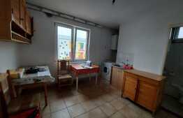 Apartament in casa, 110 mp.,  GRADINA de 90 mp, TERASA de 20 mp zona Lidl!