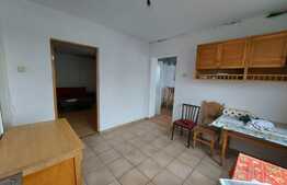 Apartament in casa, 110 mp.,  GRADINA de 90 mp, TERASA de 20 mp zona Lidl!