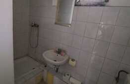 Apartament in casa, 110 mp.,  GRADINA de 90 mp, TERASA de 20 mp zona Lidl!